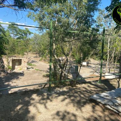 380267230 831545518373487 6690293578899991397 N