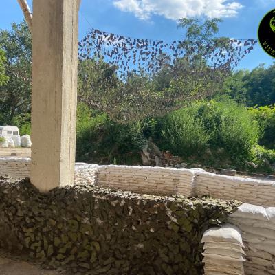 380281393 831544101706962 9044795592564589892 N