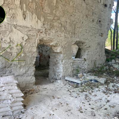 380283618 831544275040278 8765986910799610670 N