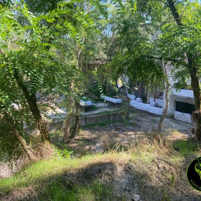 380286126 831544931706879 3743241202944338497 N