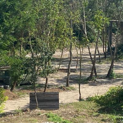 380289050 831543335040372 7771081146244058040 N