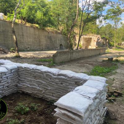 380296053 831544425040263 2754062147526900480 N