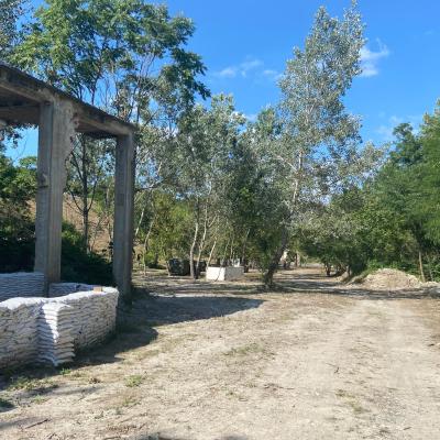 380913565 831543788373660 4282282131649820904 N