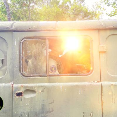 381006400 831542881707084 4468226501516297279 N