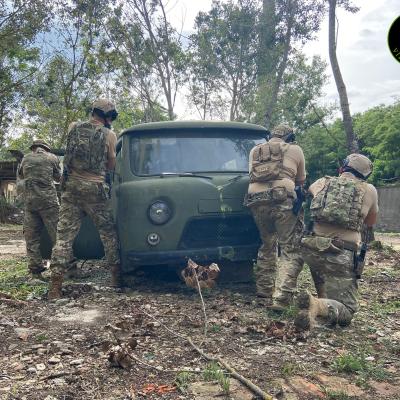 381009435 831544025040303 3088014004963268073 N