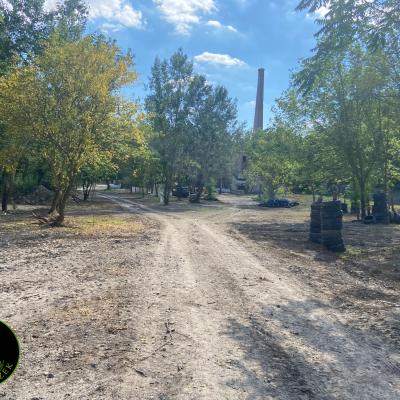 381009552 831544761706896 4257287426705257252 N