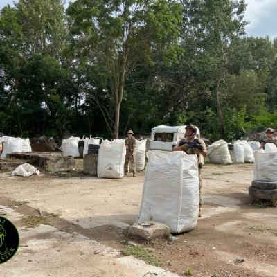 381179732 831544435040262 5555140542116448459 N