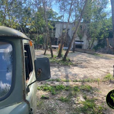 381211457 831544005040305 5044213292238256058 N