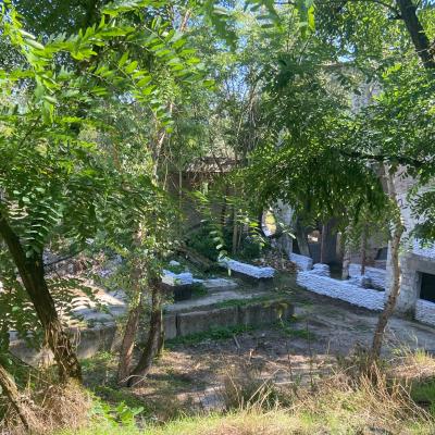 381228512 831544665040239 4009245619133476169 N